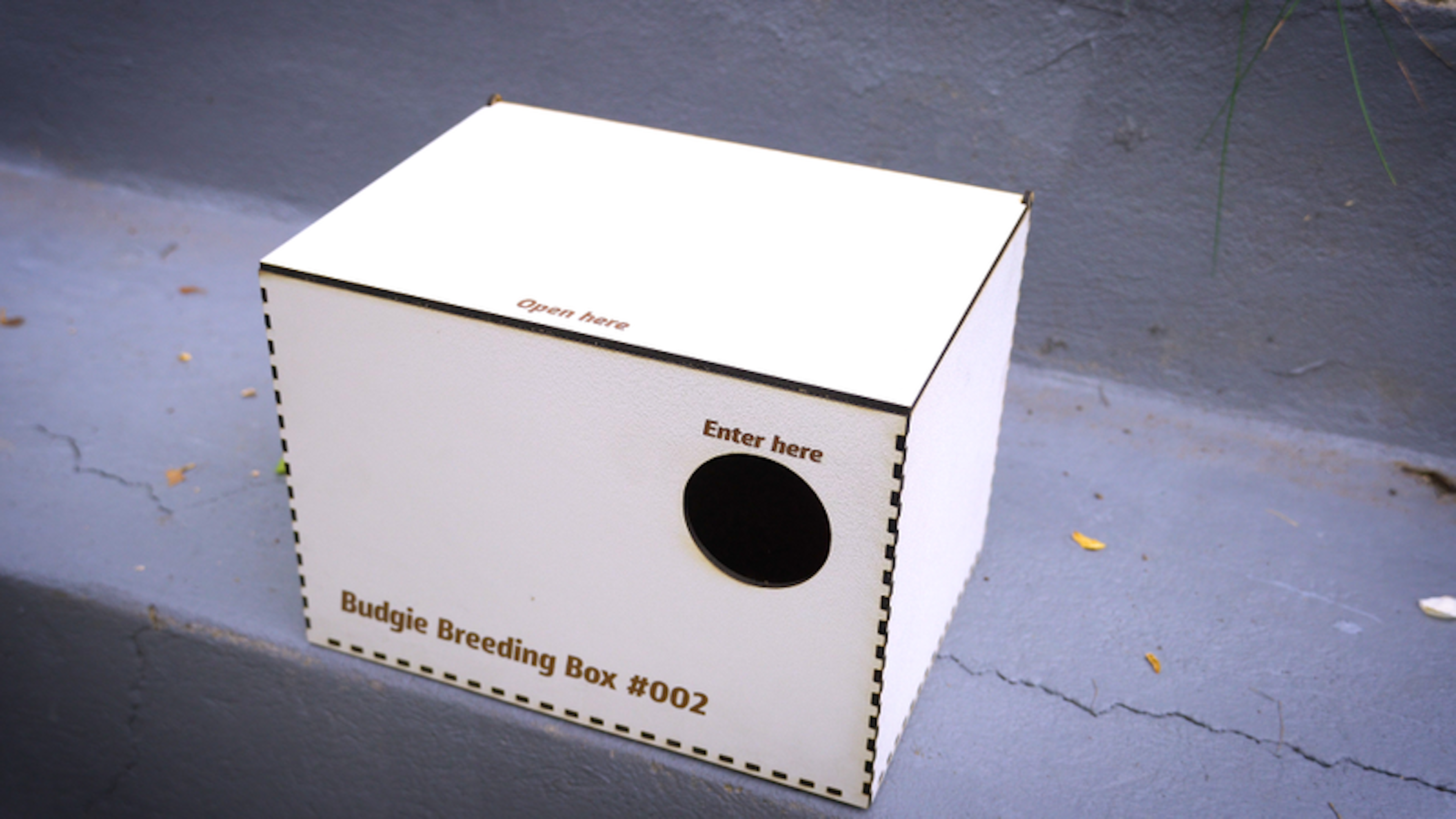 Budgie Nesting Box svg for Laser cutter
